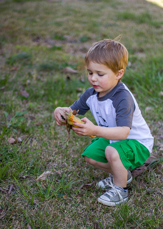 RaglanTeeGreen Shorts