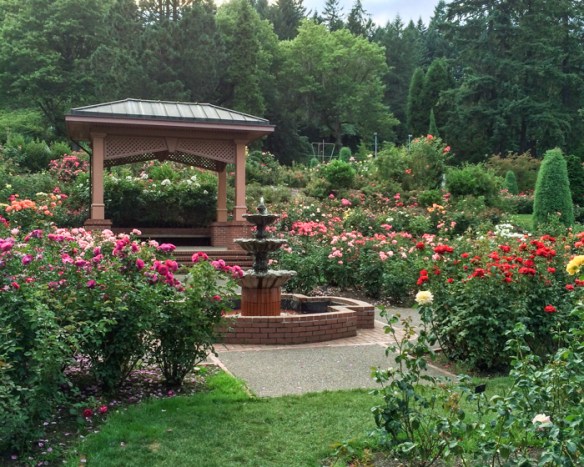 portland, or (15 of 6)