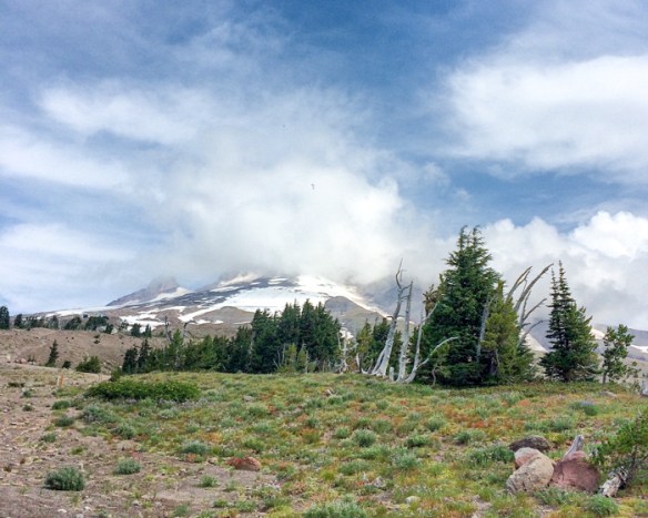 portland, or (16 of 6)