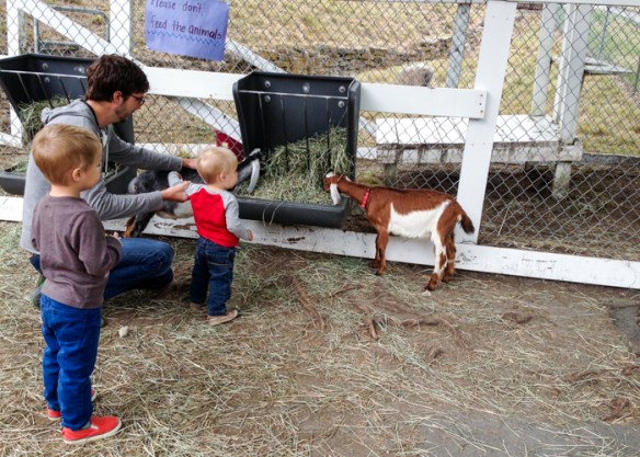 seattle, wa (5 of 6)