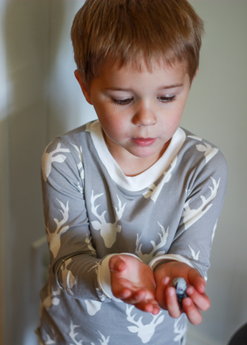 hello bear version (1 of 7)