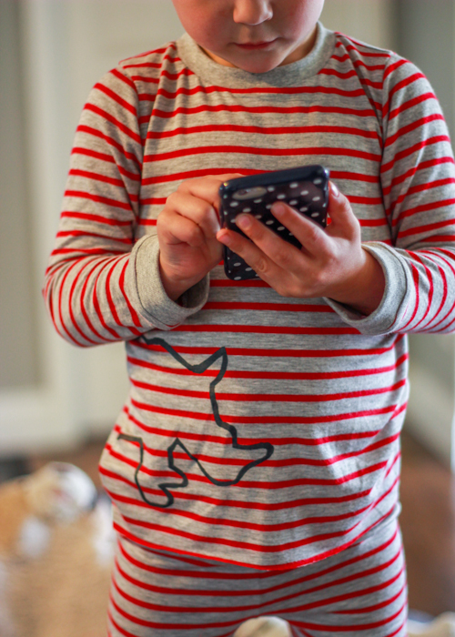 rhino version (6 of 9)