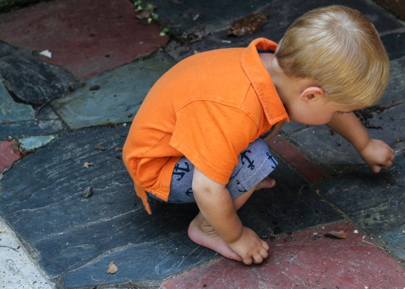 anchor shorts (6 of 6)