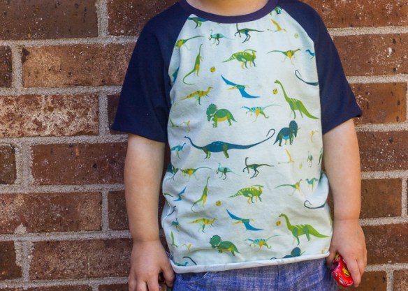 dinosaur safari raglan (1 of 7)