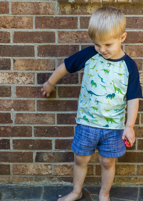 dinosaur safari raglan (2 of 7)