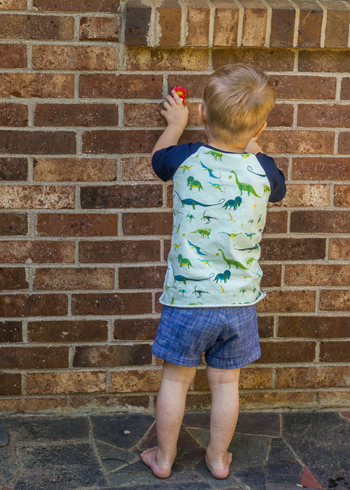 dinosaur safari raglan (3 of 7)