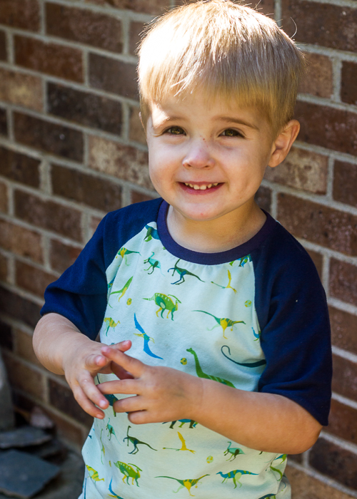 dinosaur safari raglan (5 of 7)