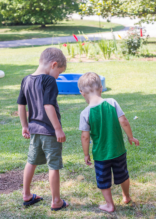 birthday raglans (3 of 6)